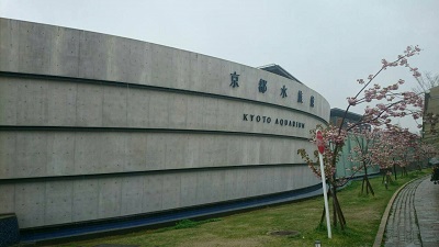 婚前旅行⑥.jpg