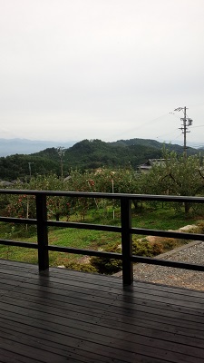 景色.jpg