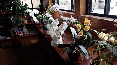 IMG_20140527_095505.jpg