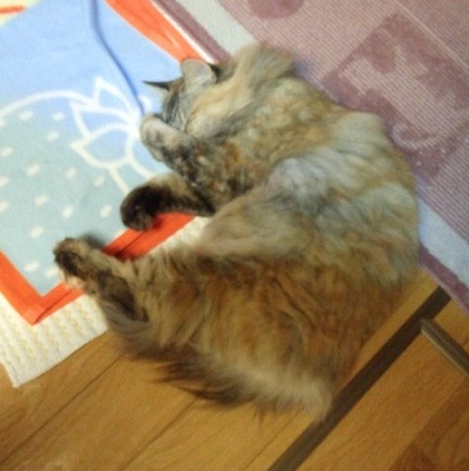2011092921260001.jpg