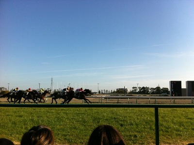 a horse race1.jpg